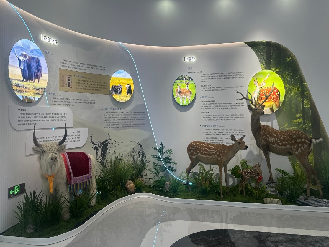 銀川伊百盛生物工程有限公司