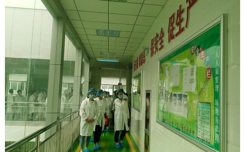 值公司成立十周年慶典，公司贊助萬名老人免費(fèi)游寧夏系列活動