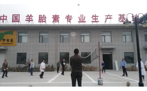 排球傳溫情，員工齊聚心