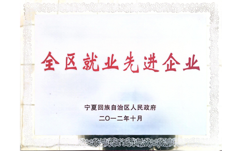 全區(qū)就業(yè)先進(jìn)企業(yè)